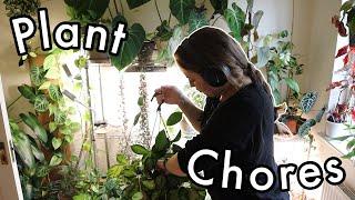 Overdue Plant Chores | Watering, Pruning, Fertilising, Treating