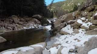 Fly Fishing South St. Vrain after the flood