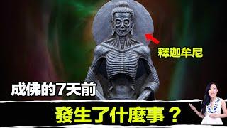 釋迦牟尼用了七天，從人變成了佛！祂到底經歷了什麼？成佛後祂留下了一部經典，告訴我們：人類原本都是佛，只是我們都忘了！照著做，你也可以脫離六道輪迴成佛！| 馬臉姐