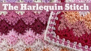 Crochet the Harlequin Stitch with a  Moss Stitch Border