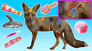 Wounded Fox Healing Wounds, Catching Bugs, Treating Dermatitis | ASMR |Animals Care Cartoon