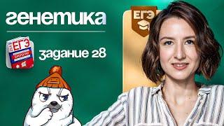 Генетика. Задание №28 | ЕГЭ-2025 по биологии