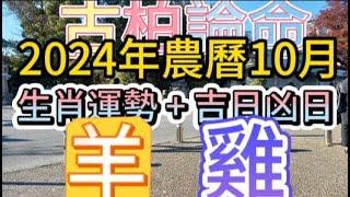 【古柏論命每月運勢+吉日凶日】2024年農曆10月(陽曆2024年11/1 ~ 11/30)生肖運勢分享 -  羊、雞