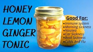 Honey, Lemon, and Ginger Tonic  | Good For Your Health