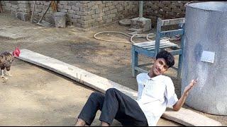 Cleaned Big Zoo ( pets Channel Live) ||Haseeb home birds