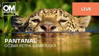 Czech | Pantanal očima Petra Bambouska