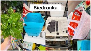 BIEDRONKAKOSZEPOJEMNIKIPUFFPARASOLMOSKITIERY I INNE NOWOŚCIGAZETKA 24.06