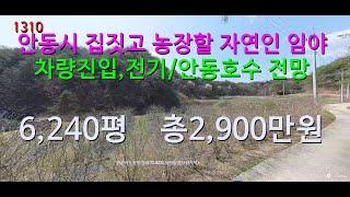 [번호 1310}안동시에서 가장 싼 밭같은 임야 총2,900만원