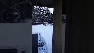 Snow Update in Kenmore, WA, 2/9/19