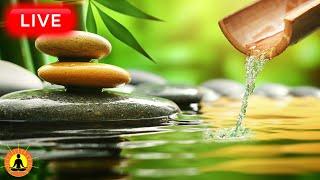  Relaxing Zen Music 24/7, Healing Music, Meditation Music, Spa Music, Sleep, Zen, Nature Sounds