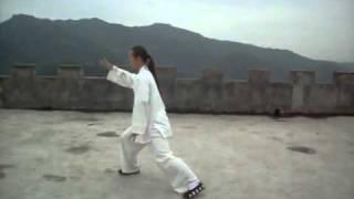 Wudang Tai Chi 48 Quan  Form by Yuan Li Min disciple Zhang Wei Hai.