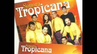 Sonora Tropicana - CUMBIAS BAILABLES MIX 13 EXITOS