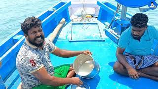 நடுக்கடலில் நெத்திலி மீன பொரிச்சு சாப்பிடுகிறோம் | Neththili Fish Fry at MidSea