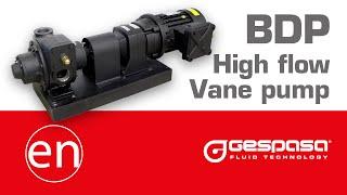 GESPASA | BDP High flow vane pumps for Diesel, Petrol or lubricants.