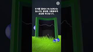 식물은 왜 천둥번개를 원할까 | 어머니하나님