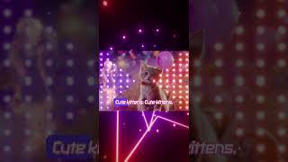 Cute kittens try not to laugh music challenge the funniest song in the world for cats to watch Kpop