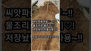 23년3월18일-흙에 씨앗파종(점뿌림/흩뿌림)