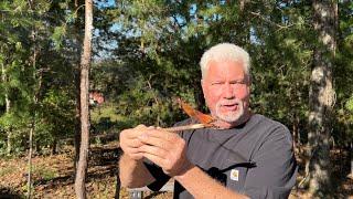 Easy Fire Making From The Fatwood In Small Pine Branches