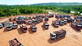 Incredible Work Teams 25ton Dump Trucks Transport Huge Mountain Stones Filling in Lowland Area