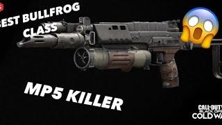 BEST CLASS SETUP FOR BULLFROG | Rock Hype