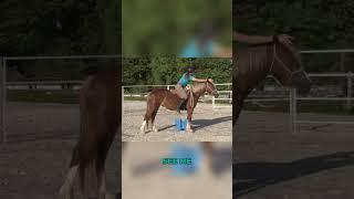 The First Ride should be boring #younghorse #coltstarting #horse #horsebehavior #equestrian