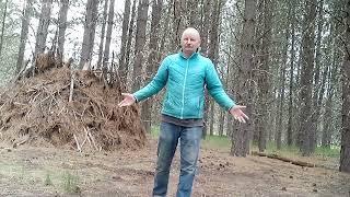 Karate, Lunge Side kick, per request from Tusanity, comment section.