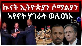 ኲናት ኢትዮጵያን ሶማልያን ኣየኖት ሃገራት ወሊዐነኦ