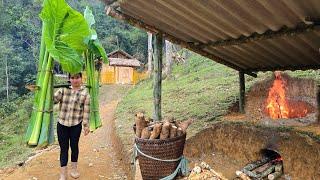 Single woman plows the land to grow corn, takes wild potato stalks to cook for pigs | Lý Thương