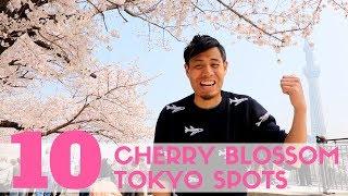 Top 10 Cherry Blossom Tokyo Spots | Sakura watching and Hanami Guide