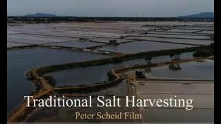 Traditional Salt Field Harvesting - Film/Video Production , Cameraman Ho Chi Minh City, Vietnam