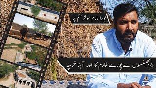 Monthly Profit of  6 Buffaloes in Urdu || Buffaloes Farming in Pakistan in Urdu || Farming Tips