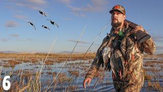 AMAZING Solo DUCK HUNT (LIMITED OUT) | Public Land CA Duck Hunting 2022