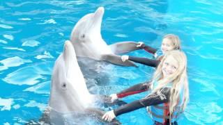 Swim With Dolphins at Gulf World in Panama City Beach