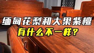 缅甸花梨和大果紫檀一样吗？别傻傻分不清，这样比喻太形象了