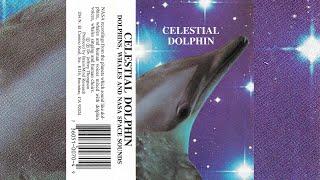 Dr. Jeffrey Thompson - Celestial Dolphin [1993]