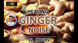 Ginger Noise for Healing |12 Hours | BLACK SCREEN | Study, Sleep, Tinnitus Relief and Focus