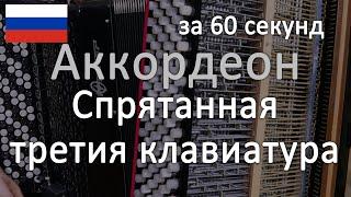 Третия клавиатура аккордеона, за 60 секунд #shorts