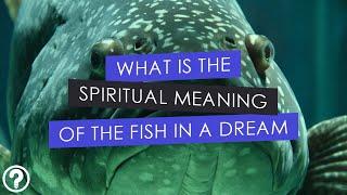 What is the Spiritual Meaning of Fish in a Dream?