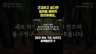 (따라하는 기도시리즈) 회복챌린지9 건강하고 싶다면 믿어질 때까지 따라하세요 / 장재기 목사