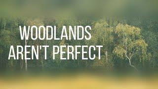 Accept the Imperfections - Woodland Photography