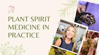 Plant Spirit Medicine In Practice