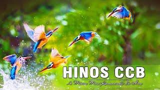 Hino CCB 2020 - Hinos Com O Sinal De Deus - Canções De Adoração