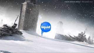 Liquid Dubstep Music | December Mix