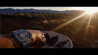 Navajo Prayer