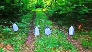 Homes for Sale - Old State Rd., Parcel 1 Atlanta MI 49709 - Kathryn Parks