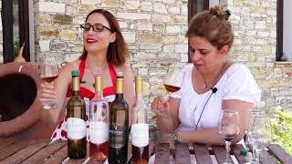 Christoudia Winery in Larnaca Cyprus - Tasting Spourtiko Wine and Maratheftiko Wine