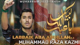 Nohay 2023 | Labbaik Aba Abdillah | Muhammad Raza Kazmi | Title Noha 2023 | Muharram Nohay 2023-1445