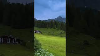 ️ #austria #ziedproduction #النمسا #shortsyoutube #österreich #الطبيعة #beautiful #nature