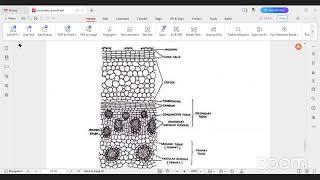 PG 1st Yr-MSc.Botany-Course - 3 : Gymnosperms, Taxonomy of Angiosperms and Anatomy