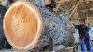 Milling MASSIVE Custom Teak Wood Stump at the Homeowner's Sawmill